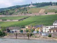 Rüdesheim mit Niederwald-Denkmal