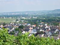 Blick über Rüdesheim und den Rhein