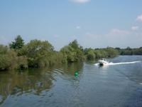 Idyllische Fahrt auf dem Main