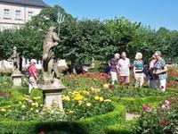 Blütenpracht im Rosengarten