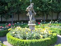 Blütenpracht im Rosengarten