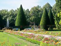 Blütenpracht im Hofgarten, Würzburg