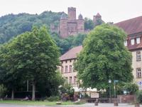 Burg Wertheim