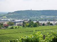 Blick zur Rochuskapelle