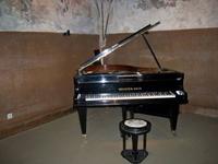 Ein geheimnisvoller Flügel!