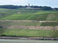 Blick zum Niederwalddenkmal 