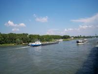 Reger Schiffsverkehr auf dem Rhein