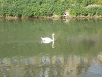 DSCN0496