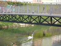 DSCN0497