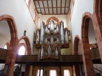 Wertheim Dom
