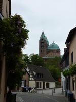 Domblick Speyer