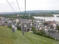Blick über Weinberge nach Rüdesheim