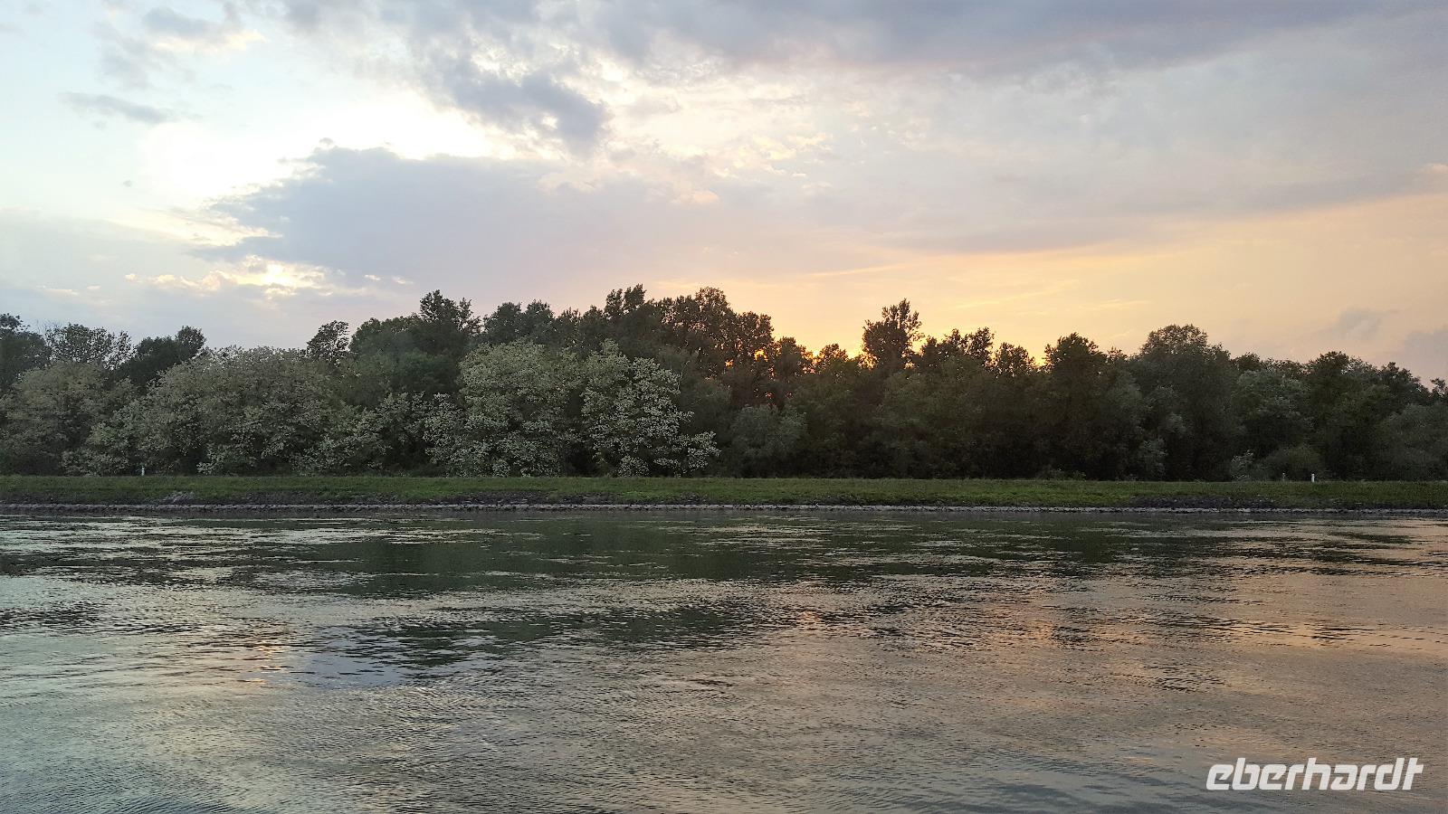 Morgenstimmung am Rhein