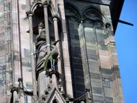 Strasbourg- Wappentier