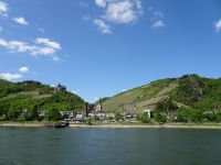 Weinberge am Rhein