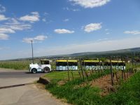 Winzerexpress Rüdesheim