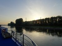 Morgen am Rhein