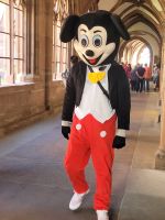 Münster Basel Kreuzgang