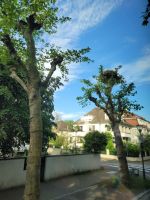 Strasbourg Storchenallee