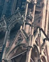 Wappentier am Münster