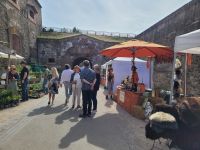 Landparty 2022 auf Ehrenbreitstein