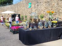 Landparty 2022 auf Ehrenbreitstein