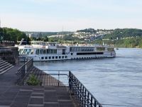 MS Aurora setzt auf den Rhein um
