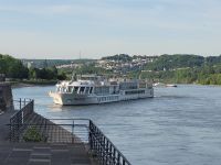 MS Aurora setzt auf den Rhein um