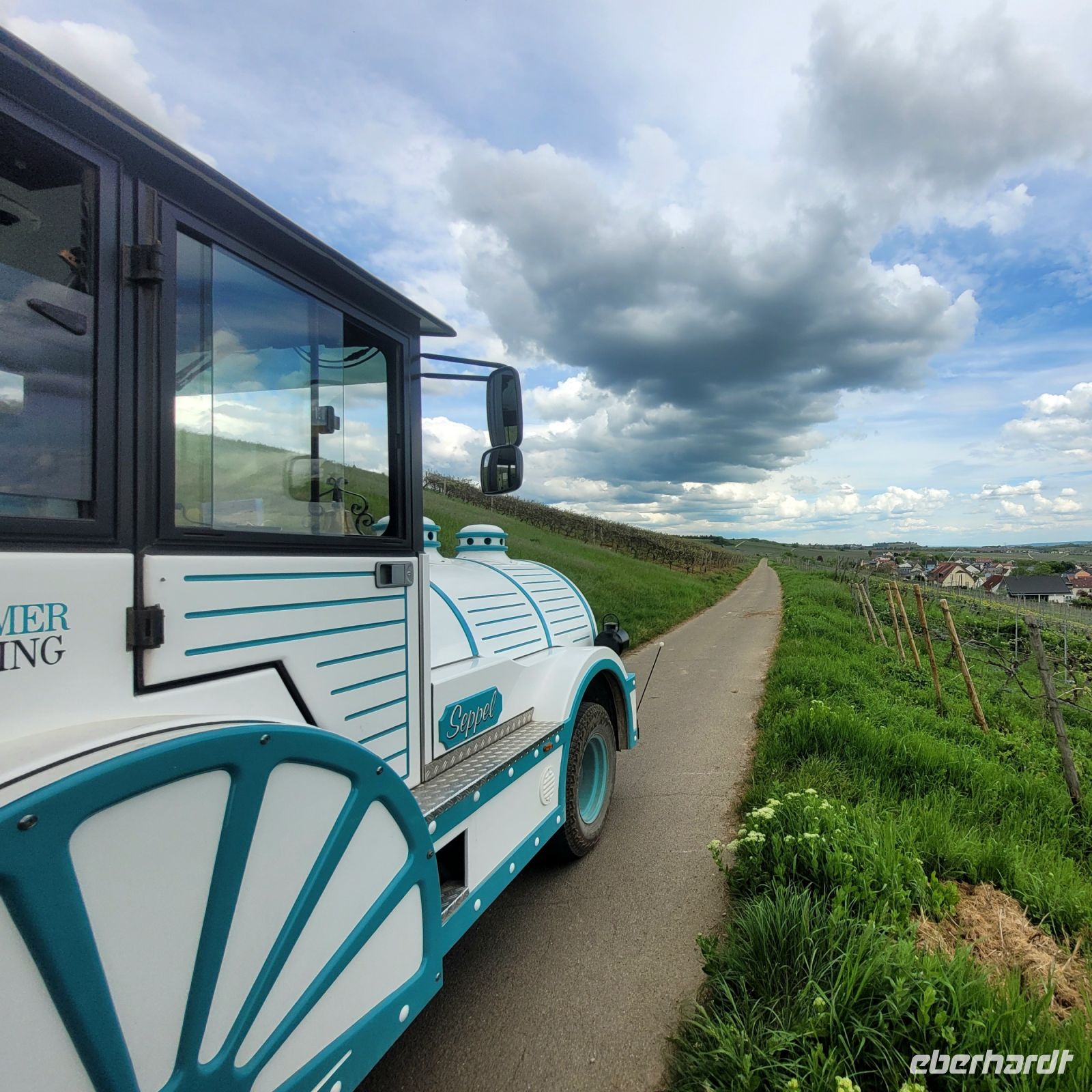 Weinberg in Rüdesheim