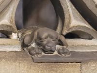 Kanzel im Münster von Strasbourg