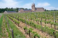 Fahrt durch die Weinberge