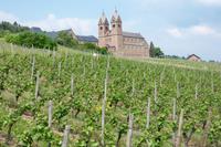 Abtei St. Hildegard, Rüdesheim