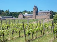 Fahrt durch die Weinberge an St. Hildegard vorbei 