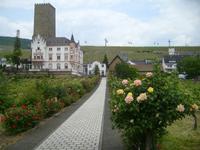 obere Brömserburg mit Weinschloss Jung