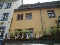 Störche überall in Straßburg, auch in Plaste