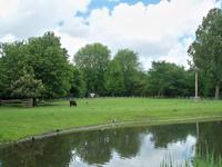 Idylle an der Rembrandtmühle, Amsterdam