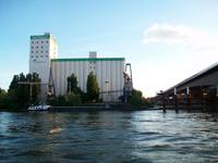 Auf dem Rhein