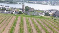 Blick zur Brömserburg