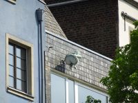 Köln