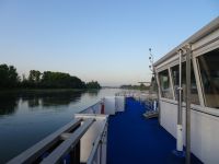 Morgen am Rhein