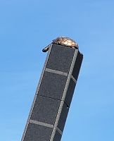 Nijmegen