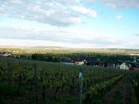 Rüdesheim