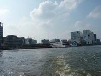 Rigoletto im Hafen