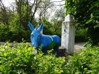 Wesel 