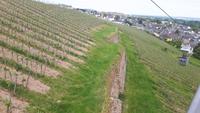 hoch über den Weinbergen