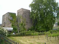 untere Brömserburg - heute Weinmuseum