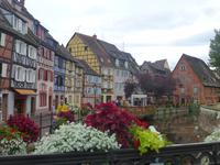 Colmar