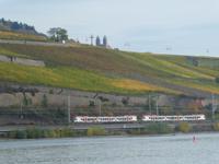 Weinberge und Seilbahn in Rüdesheim
