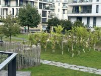 Andernach