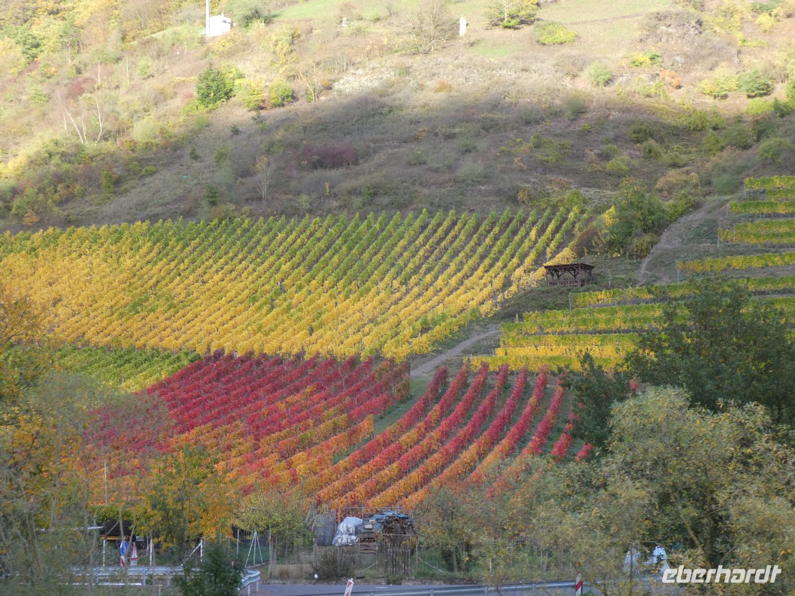 Fahrt auf der Mosel